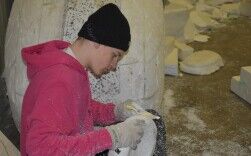 De Carnavalsknallers knallen maar door!