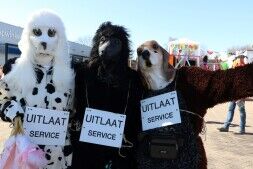De Party Dogs