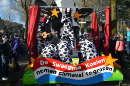 De Swaeghse Koeien nemen carnaval te grazen.