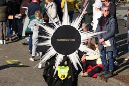 Het Zonnetje in huis