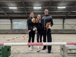 Hobby Horsing