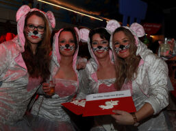 Als de kat van huis is...