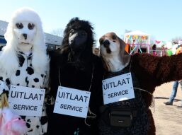 De Party Dogs
