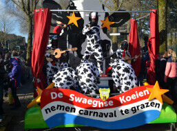 De Swaeghse Koeien nemen carnaval te grazen.