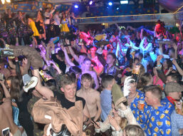 Doldwaze Dikke Dolle Dinsdag