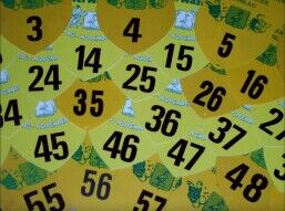 Ophalen  Optochtnummers