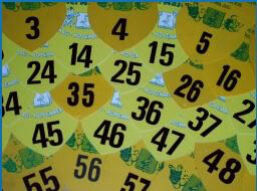 Ophalen optochtnummers en laatste voorverkoop