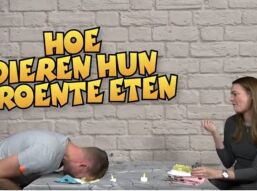 We beginnen het nieuwe jaar met een lach, een hele grote lach!!