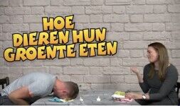 We beginnen het nieuwe jaar met een lach, een hele grote lach!!