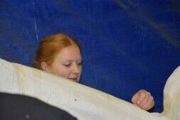 De Bende van Ellende zijn opzoek