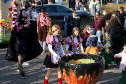 De Carnavalsknallers