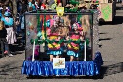 De grote winnaars van de Grote Zwaagse optocht zijn bekend