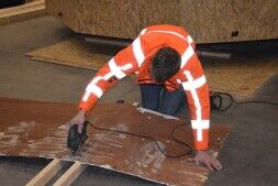 De Lamstralen voelen zich weer de koning te rijk