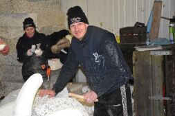 De Nootgevallen zijn er ook weer bij!