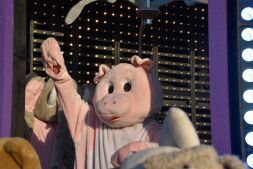 De Plopkoppen zijn knuffelbaar