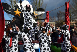 De Swaeghse Koeien nemen carnaval te grazen.