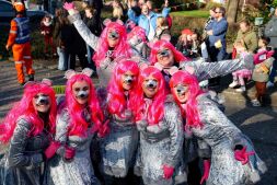 De Wicky's komen in (L)optstand