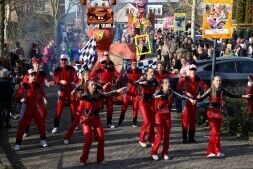 De Zwaagse Borries