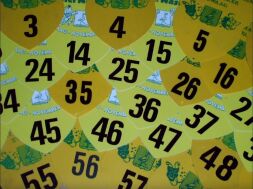 Vanavond laatste voorverkoop en ophalen optochtnummers Grote Optocht