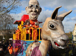 De Lamstralen lama zich met carnaval  helemaal gaan! 