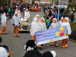 De ooievaars van ’t Leutnest 