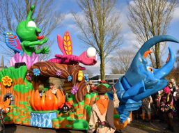 Grote Optocht was fenomenaal