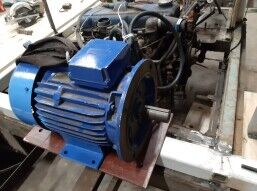 Het Masker gaat voor groen