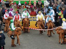 Op zoek naar twee feestbeesten van Hofdames