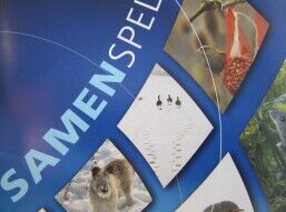 Samenspel:  “O wat ben je mooi”