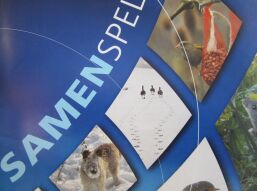 Samenspel: wat gaat het allemaal toch supersnel